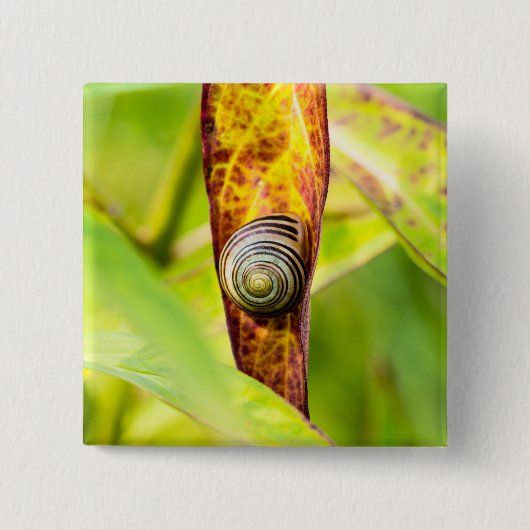 kalm gehechtheid vierkante button 5,1 cm (Voorkant)