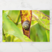 kalm gehechtheid voedselcontainer etiket (Enkel label)