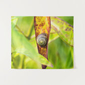 kalm gehechtheid wandkleed (Voorkant (horizontaal))