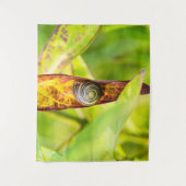 kalm gehechtheid wandkleed (Voorkant)