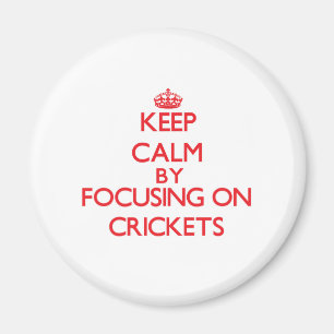 Kalm houden door zich te richten op crickets magneet