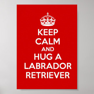 Kalm houden en een labrador retriever vasthouden poster
