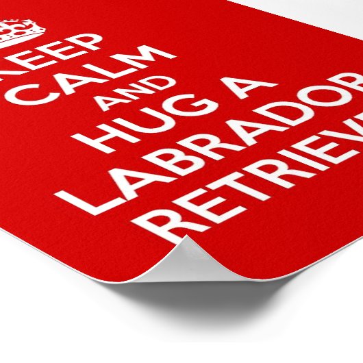 Kalm houden en een labrador retriever vasthouden poster (Hoek)