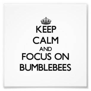 Kalm houden en focussen op Bumblebijen Foto Afdruk