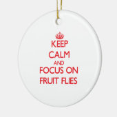 Kalm houden en focussen op fruitvliegen keramisch ornament (Links)
