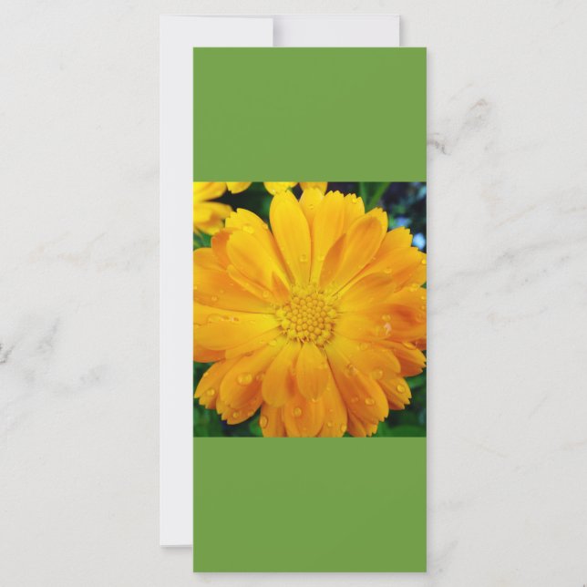 kalm houden en lezen op het gele bladwijzer (Voorkant)