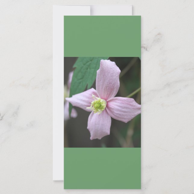 kalm houden en lezen , roze tuinbloem (Voorkant)