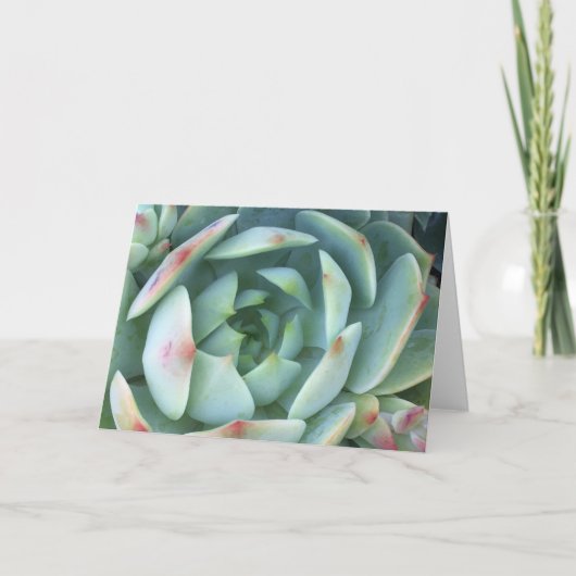 kalm kaart (Voorkant)