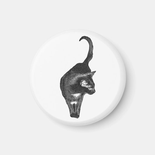 Kalm kat-magneet magneet (Voorkant)