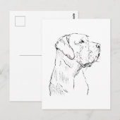 Kalm Labrador Retriever  Ansichtkaart Briefkaart (Voorkant / Achterkant)