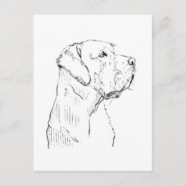 Kalm Labrador Retriever Ansichtkaart Briefkaart