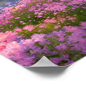 Kalm meer omringd door Natuur's Delights Poster (Hoek)