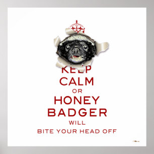 Kalm of honingbadger houden... poster