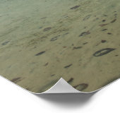 Kalm water van de lagune van Marovo Poster (Hoek)
