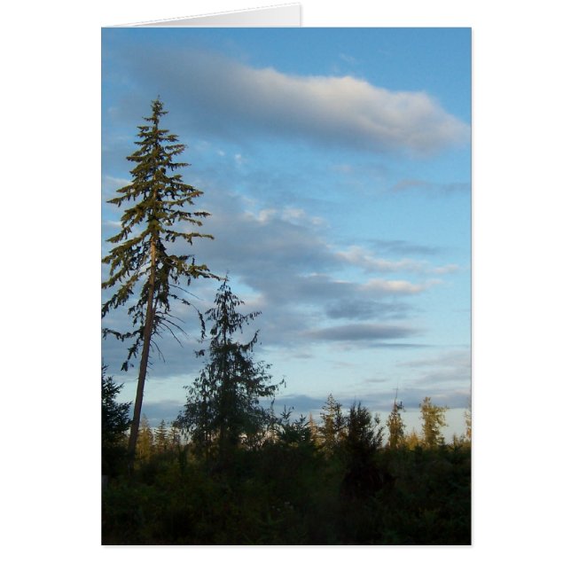 Kalme Blauwe Hemelen (Voorkant)