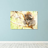 KALME KOALA 24x36 Canvas Afdruk (Insitu (Houten vloer))