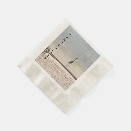 Kalmerend zand en reiger leven in het meer Sandtas Servet (Hoek)