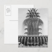 Kalmerende Ananas Briefkaart (Voorkant / Achterkant)