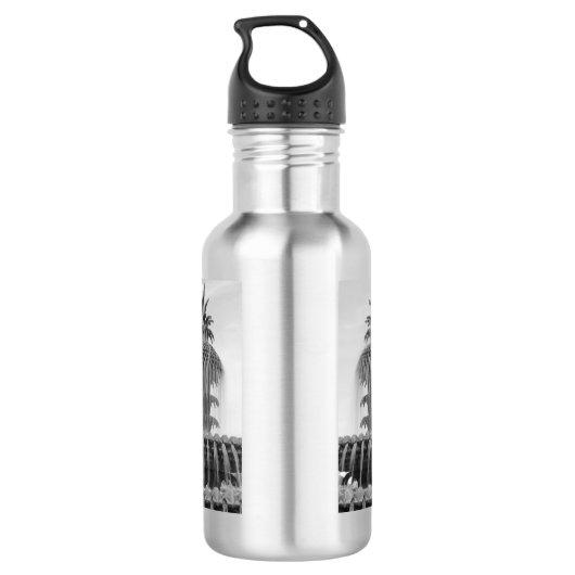 Kalmerende ananas waterfles waterfles  (Achterkant)