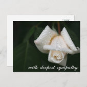 Kalmerende Groene Bladeren Witte Roos Condoleance Briefkaart (Voorkant / Achterkant)