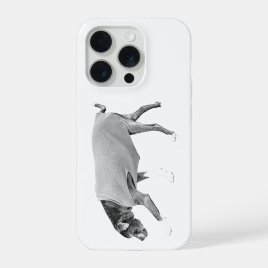 Kalmte Koesteren iPhone Hoesje (Achterkant)