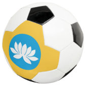 Kalmukse vlag voetbal (Drie kwart)