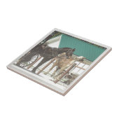 Kalona Amish Horses Tegeltje (Zijkant)