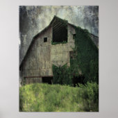 Kalona Barn en Ivy Poster (Voorkant)
