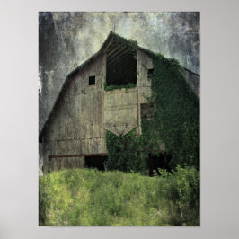 Kalona Barn en Ivy Poster