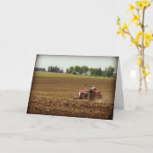 Kalona, het Veldwerk van Iowa, Vaderdag Kaart (Gele Bloem)