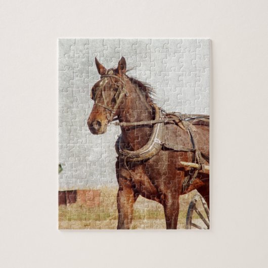 Kalona, Iowa Amish Horse en Buggy Legpuzzel (Verticaal)