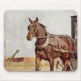 Kalona, Iowa Amish Paard en Buggy Muismat