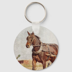 Kalona, Iowa Amish Paard-en Buggy Sleutelhanger