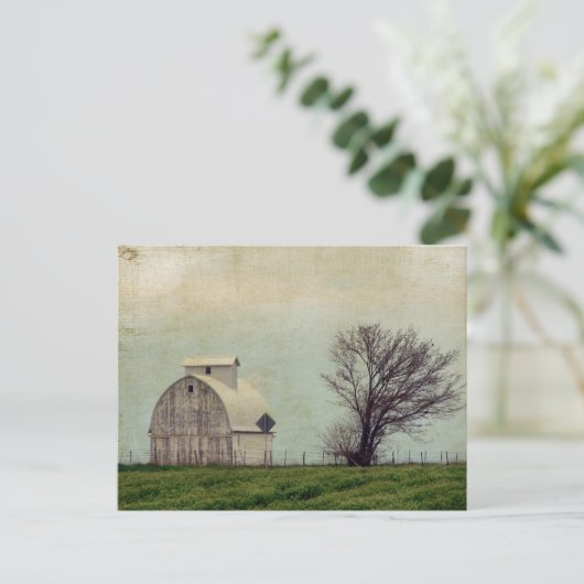 Kalona Iowa Fields and Barn with Tree Briefkaart (Staand voorkant)