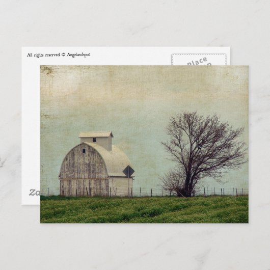 Kalona Iowa Fields and Barn with Tree Briefkaart (Voorkant / Achterkant)