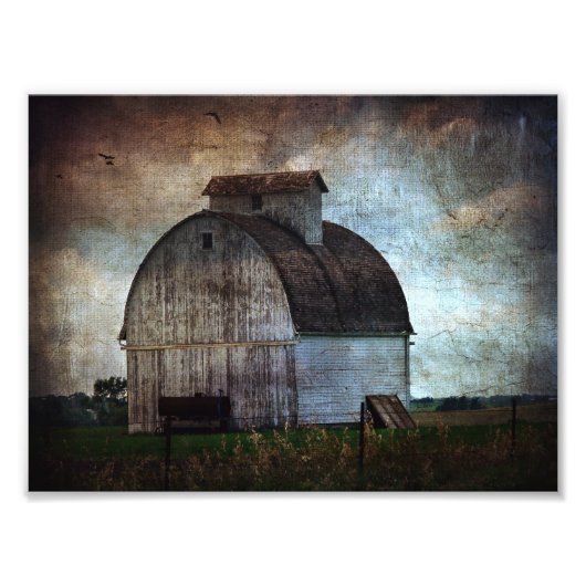 Kalona, Iowa White Barn met vogels Foto Afdruk (Voorkant)