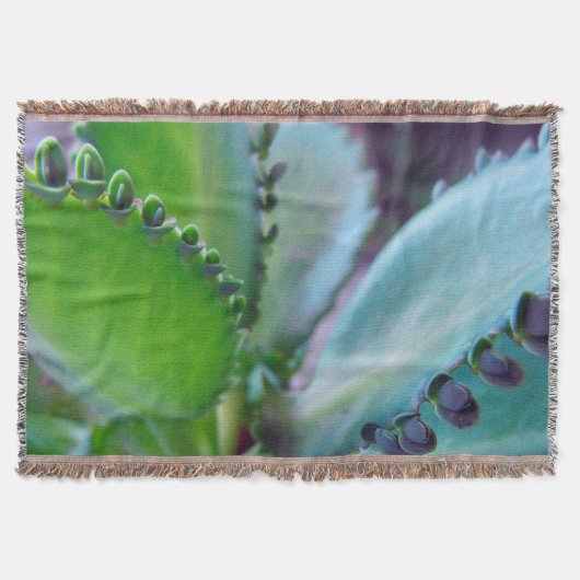 Kalonchoe Colors Deken (Voorkant)