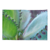 Kalonchoe Colors Kussensloop (Achterkant-Links)