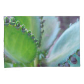 Kalonchoe Colors Kussensloop (Voorkant-Rechts)