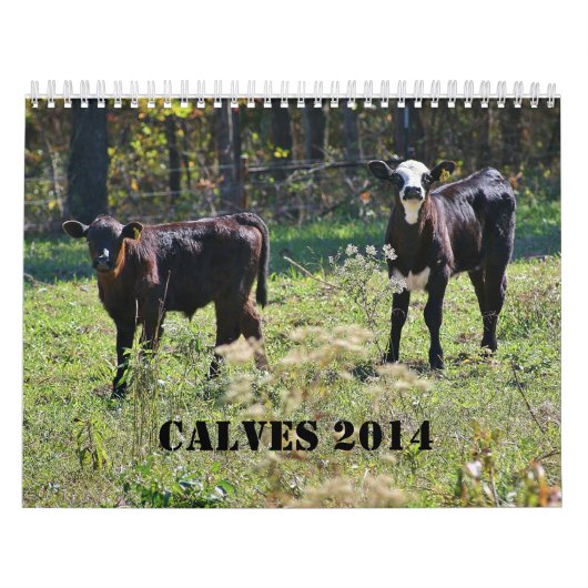 Kalveren 2014 kalender (Hoes)