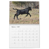 Kalveren 2014 kalender (Feb 2027)