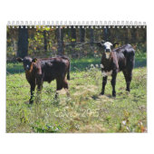 Kalveren 2015 kalender (Hoes)