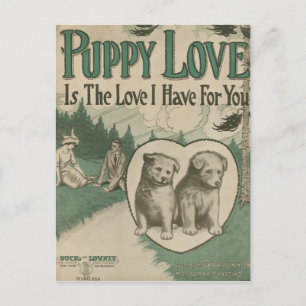 Kalverliefde Briefkaart