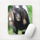 Kalvin Muismat (Met muis)