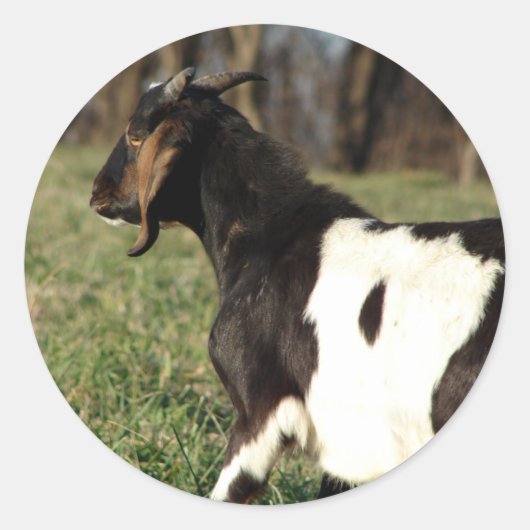 Kalvin Ronde Sticker (Voorkant)