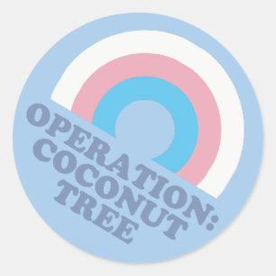Kamala Harris Coconut Tree Trans Pride Flag Ronde Sticker