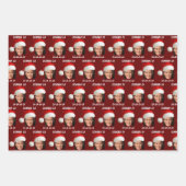 Kamala Harris Inpakpapier Vel (Voorkant)