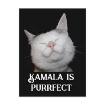 Kamala is Purfect