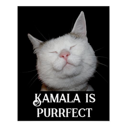 Kamala is Purfect Perfect Poster (Voorkant)