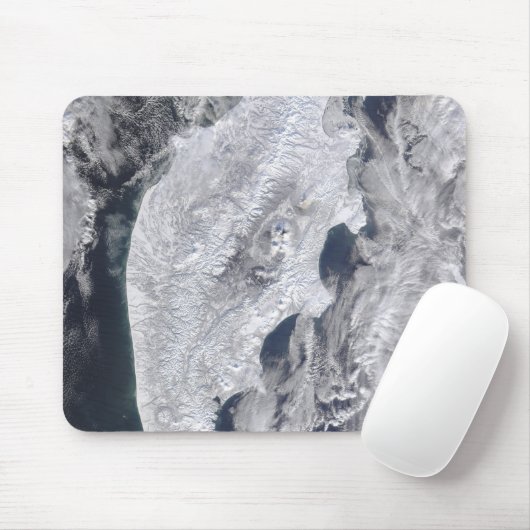 Kamchatka Peninsula, Oost-Rusland 2 Muismat (Met muis)